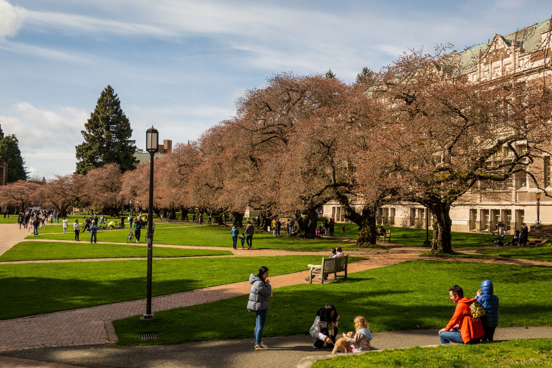 Campus Fees: Tuition vs Mandatory Charges
